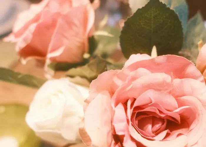 Appartamento Muehlberg *